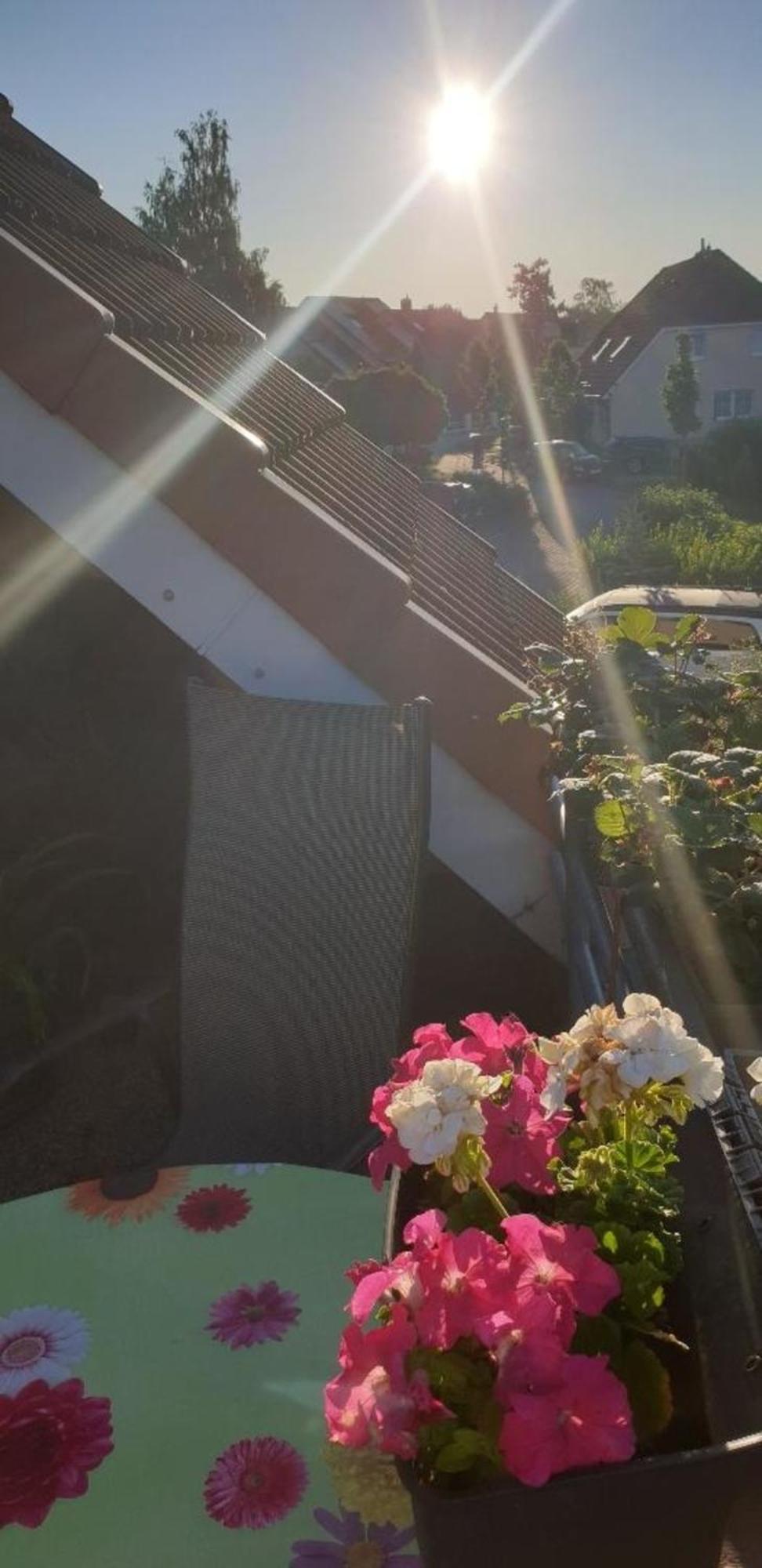 Ferienwohnung In Radeberg Bei Dresden 외부 사진
