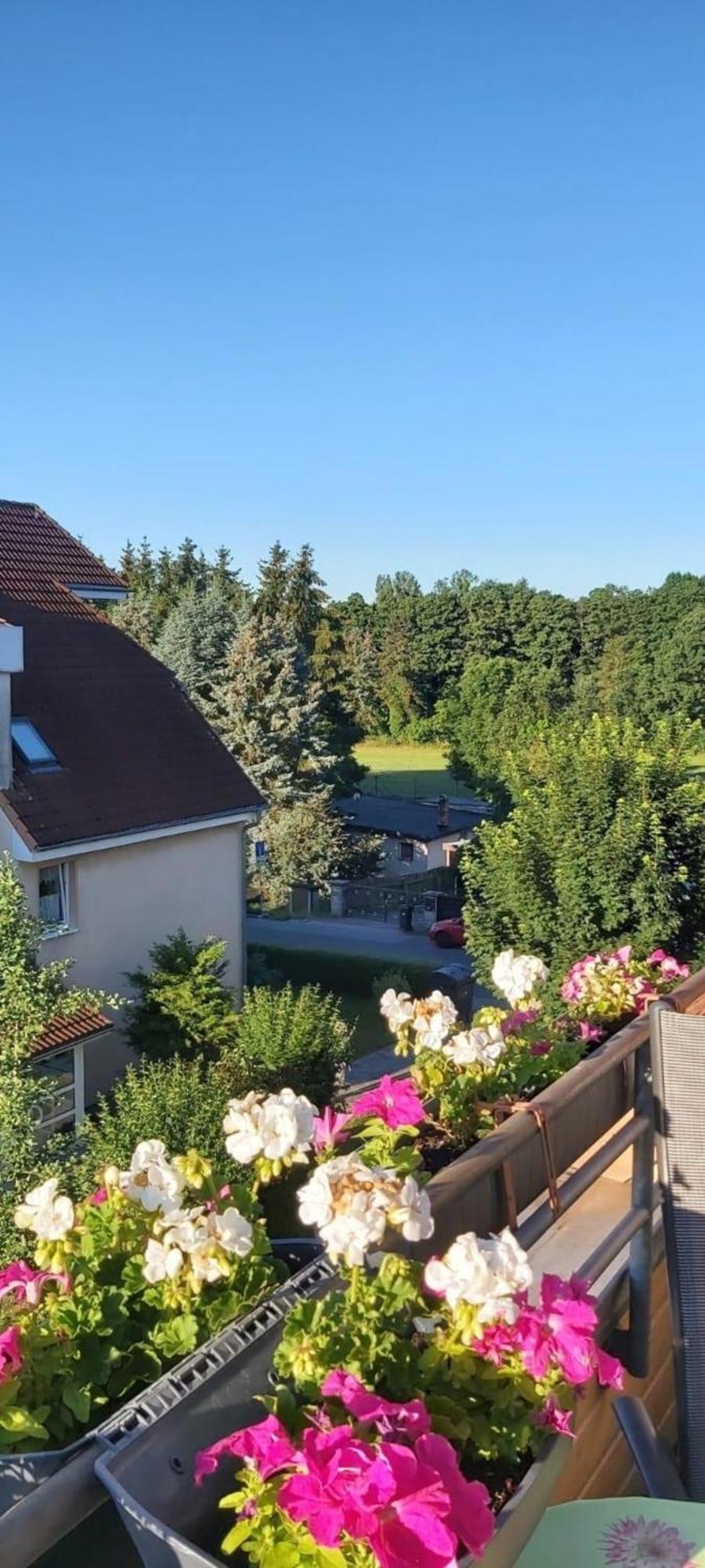 Ferienwohnung In Radeberg Bei Dresden 외부 사진